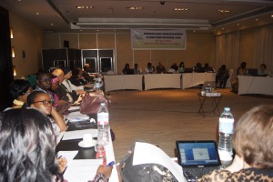 Participants at the CSO workshop on climate change and renewable energy
