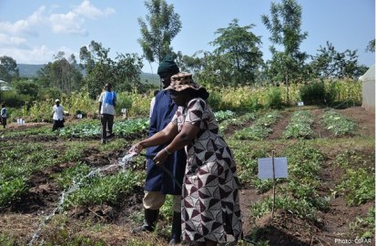 Several farmers in Africa lack access to credit and technology